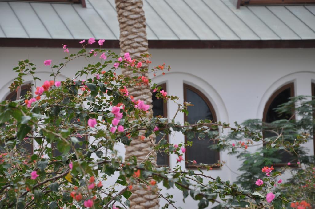 Russian Pilgrim Residence Sweimeh Ngoại thất bức ảnh